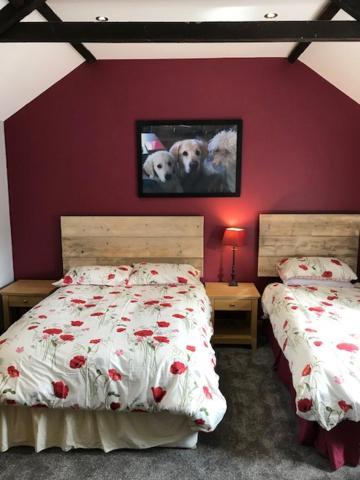 Holywell Grange Farm Villa Whitley Bay Ngoại thất bức ảnh