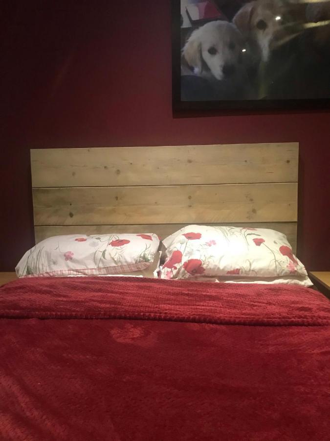 Holywell Grange Farm Villa Whitley Bay Ngoại thất bức ảnh